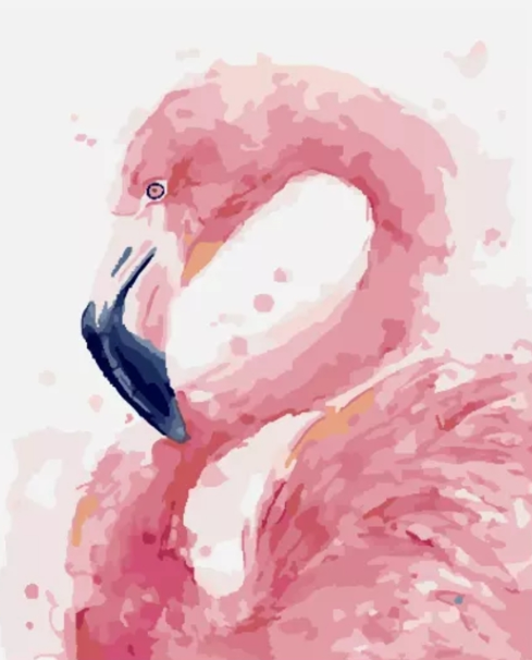 Paint By Numbers  Flamingo 40x50
