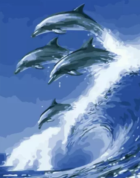 Paint By Numbers Dolphins Wave 40x5