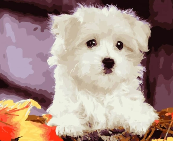 Paint By Numbers Hund Bland Höstlöv 40x50