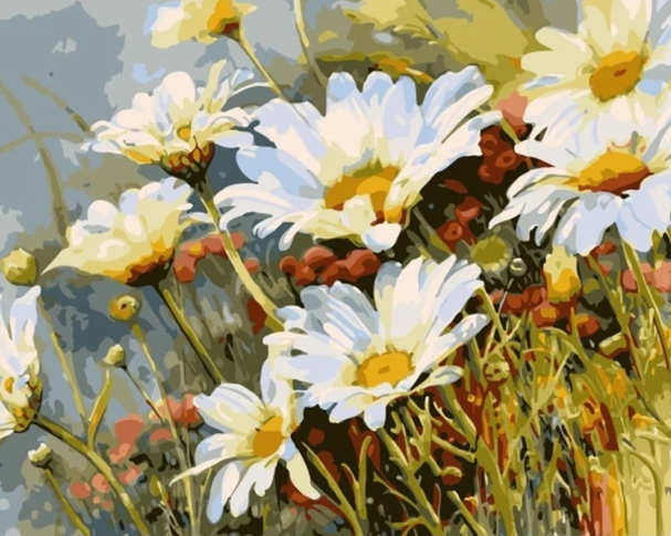 Paint By Numbers Prästkrageäng 40x50