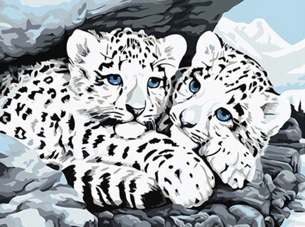 Paint By Numbers Vita Leopardungar 40x50