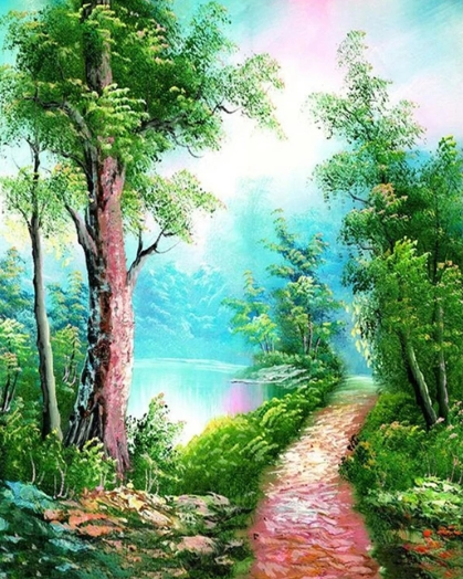 Paint By Numbers Stigen Vid Sjön 40x50