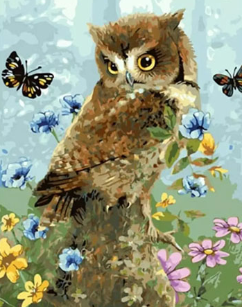 Paint By Numbers Spring Owl 40x50