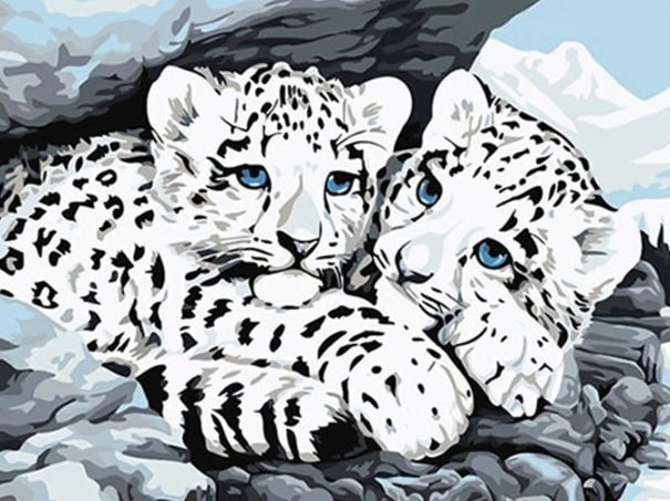 Paint By Numbers Cute White Tigers 40x50