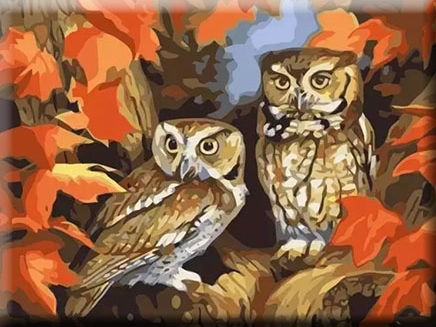 Paint By Numbers Autum Owls 40x50