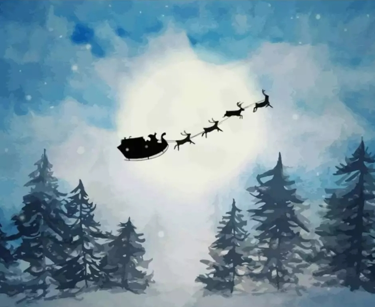 Paint By Numbers Christmas Night 40x50