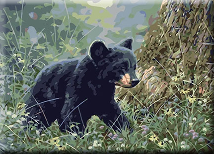 Paint By Numbers Baby Bear 40x50