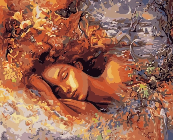 Paint By Numbers Dreams 40x50