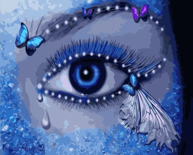 Paint By Numbers Butterfly Eye 40x50