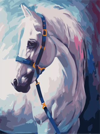 Paint By Numbers Vit Häst 40x50