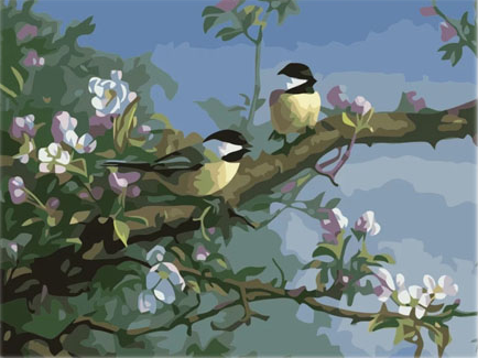 Paint By Numbers Summerbirds 40x50