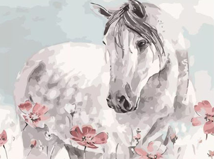 Paint By Numbers Horse Pink Poppy 40x50