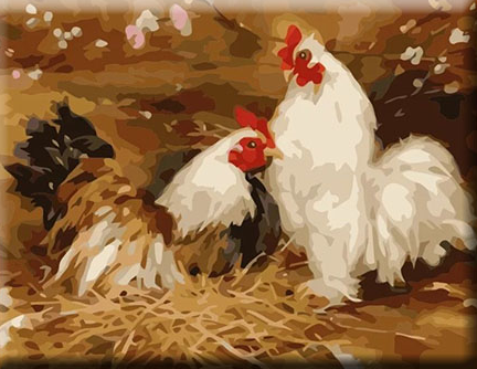 Paint By Numbers Höna Och Tupp 40x50