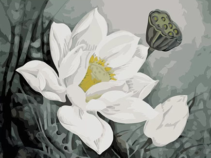 Paint By Numbers White Flower 40x50
