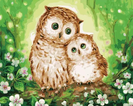 Paint By Numbers Owl Love 40x50