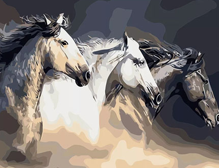 Paint By Numbers Three Horses 40x50