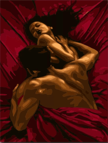 Paint By Numbers In Bed 40x50