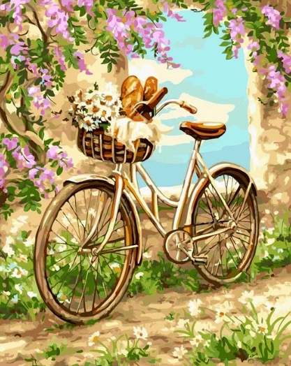 Paint by Numbers Picnic Bike 40x50
