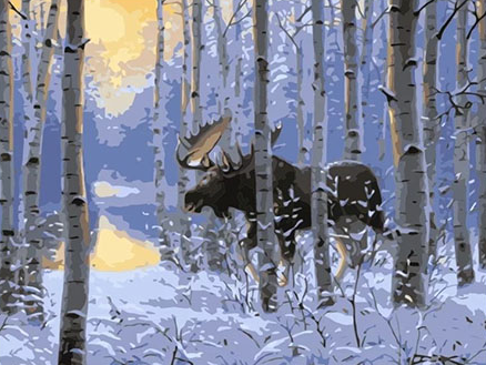 Paint By Numbers Winter Moose 40x50