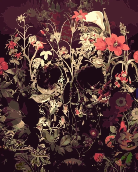Paint By Numbers Flower Skull 40x50