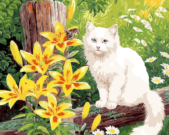 Paint By Numbers Vit Katt 40x50