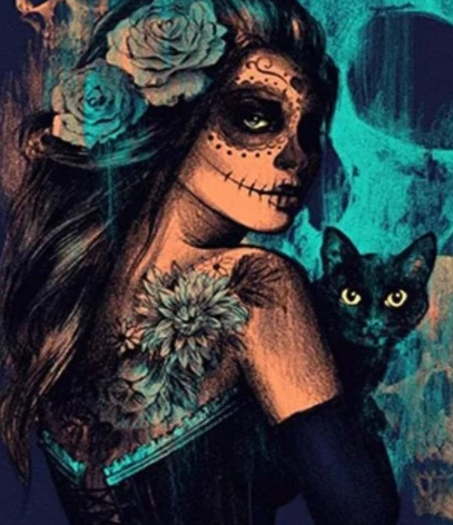 Paint By Numbers Skull Beauty  40x50
