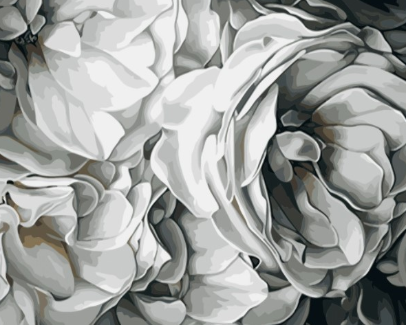 Paint By Numbers  Blommor Stilren 40x50