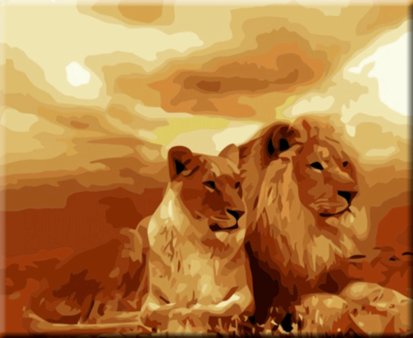 Paint By Numbers Lions 40x50