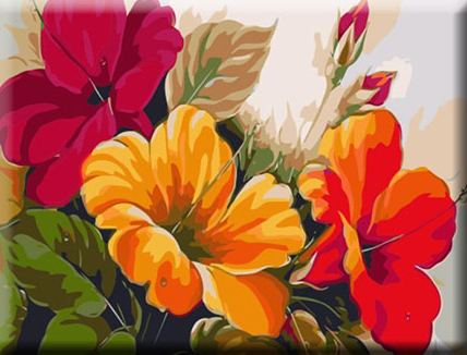 Paint By Numbers Exotic Flowers 40x50
