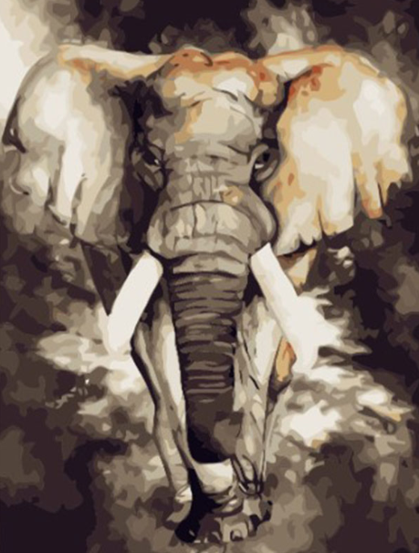 Paint By Number African Elephant 40x50