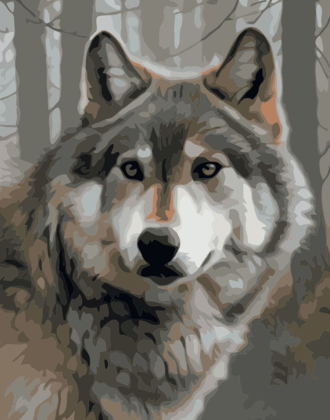 Paint By Number Forest Wolf 40x50