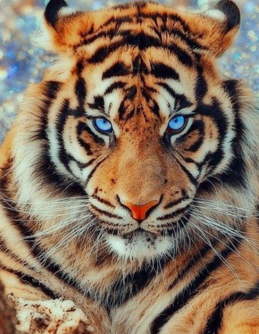 Diamond Painting AB Drills Tiger*