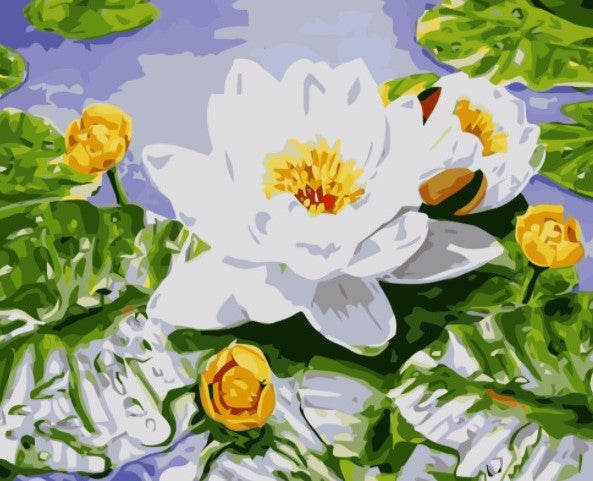 Paint By Numbers Vit Lotus 40x50*