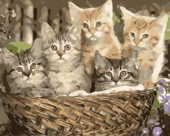 Paint By Numbers Kattungar I Korg 40x50*
