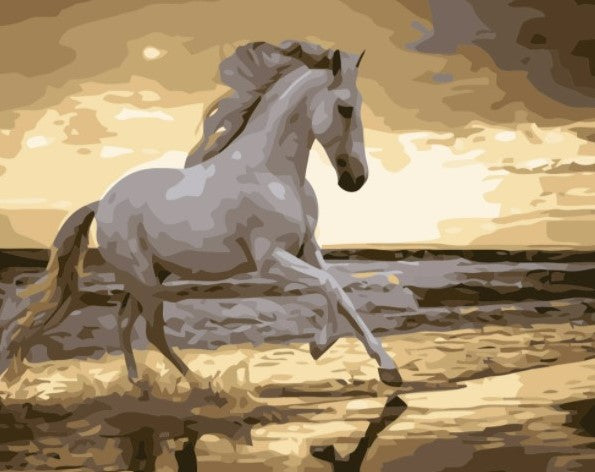 Paint By Numbers Ocean Wild Horse 40x50*