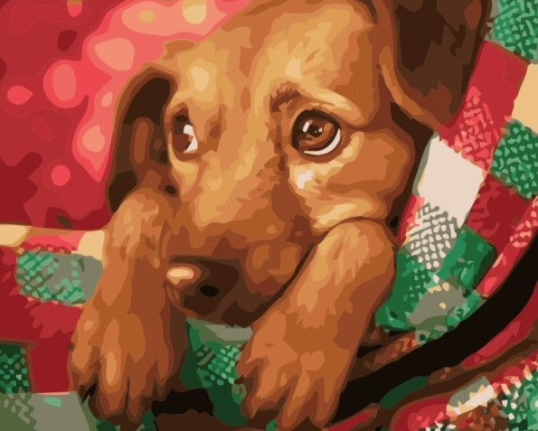 Paint By Numbers Puppy 40x50*