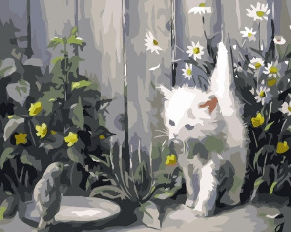 Paint By Numbers Cat And Bird 40x50*