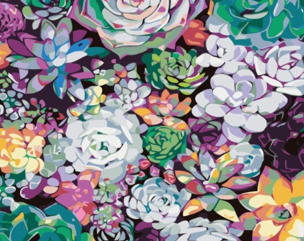Paint By Numbers Suckulenter 40x50*