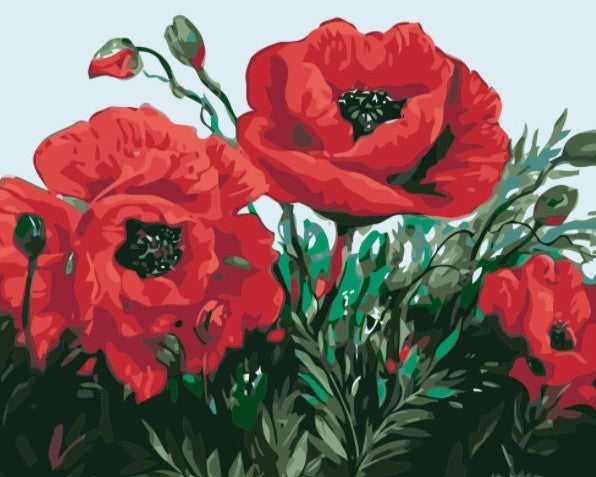Paint By Numbers Poppy 40x50*