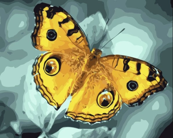 Paint By Numbers Yellow Butterfly 40x50*