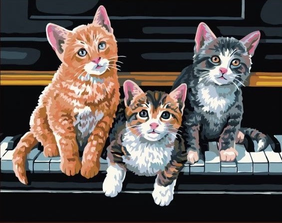 Paint By Numbers Cats On Piano 40x50*