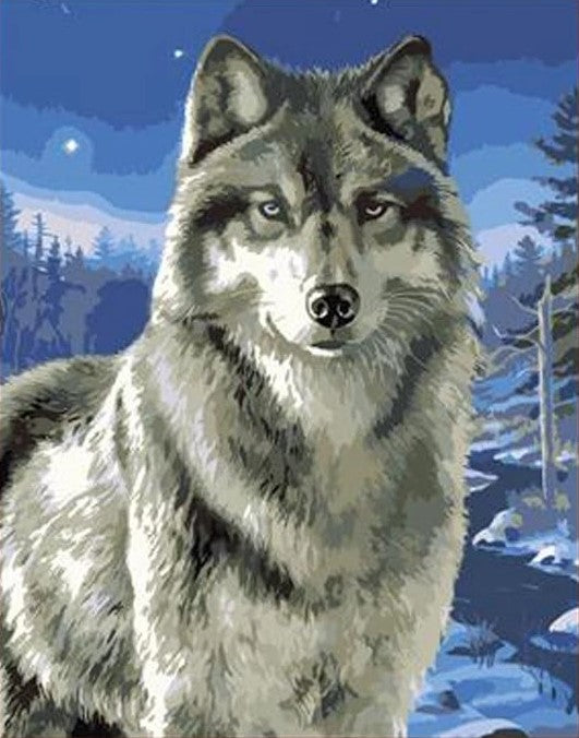 Paint By Numbers Wolf 40x50*