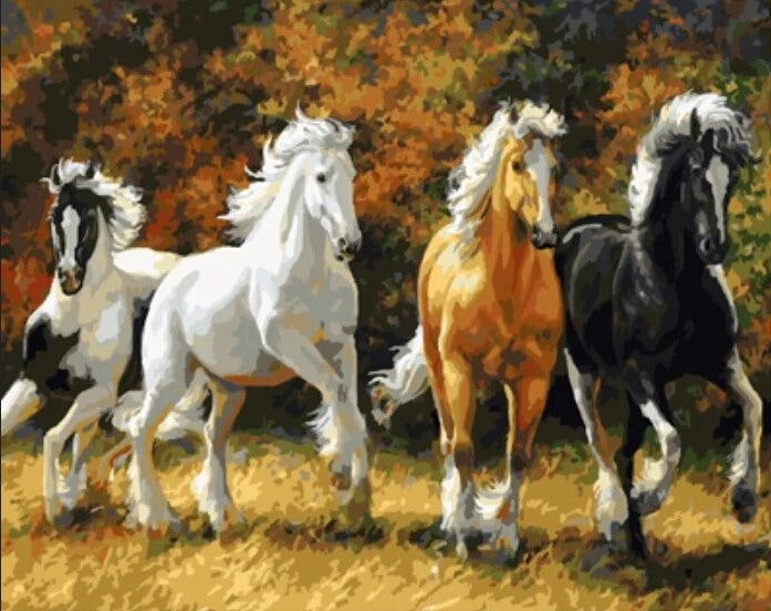 Paint By Numbers Wild Horses 40x50*