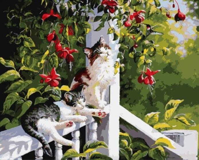 Paint By Numbers Katter På Veranda 40x50*