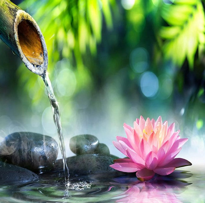 Diamond Painting Lotus MIndfull*