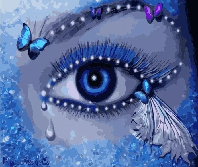 Paint By Numbers Butterfly Eye 40x50*