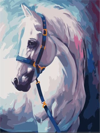 Paint By Number Vit Häst 40x50*
