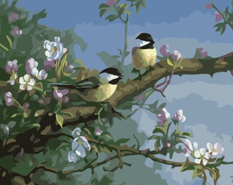 Paint By Number Summerbirds 40x50*