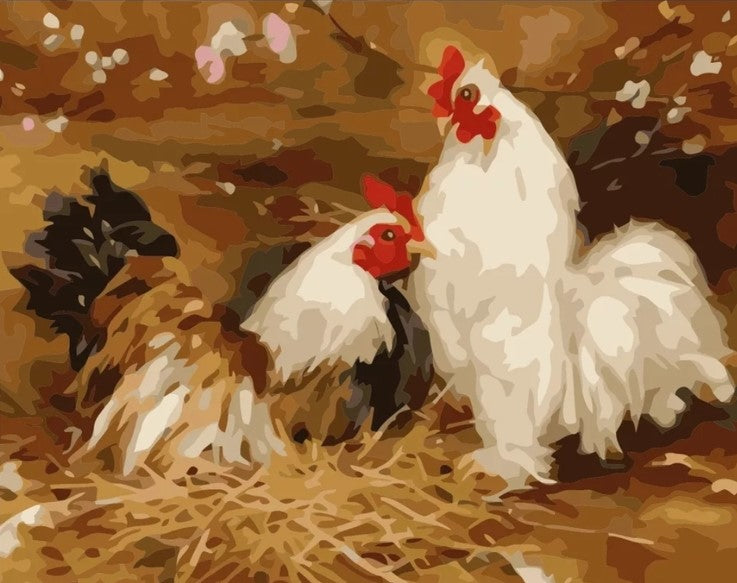 Paint By Number Tupp Och Höna 40x50*