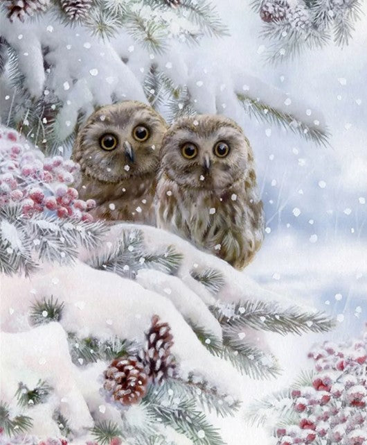 Diamond Painting Vinterugglor*